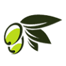 Olea Prima Bio Extravirgin Olive Oil