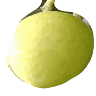 Agri De Cesare S.a.s.