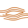 Azienda agricola Minniti
