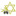 Olive Tree Congregation