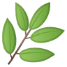 Olive Branch Dental Care