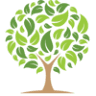 Olive Branch Tree Services