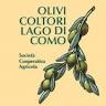 Olivicoltori Lago di Como Società Cooperativa Agricola