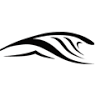 olo surfshop