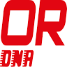 BOSCH CAR SERVICE ONA RACING