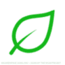 One Life Health Group