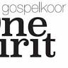 Gospelgroep Gospelkoor One Spirit (Overijssel)