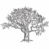 One Tree Hill Web Design