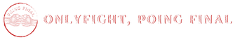 Onlyfight, Poing Final