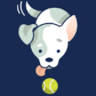 On the Ball