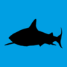 Oonasdivers