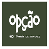 Option Chartering and Tourism