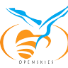Openskies Flight Training