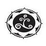 Open Way Yoga Studio