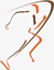Fysiotherapie Optimum Zoetermeer / Rugschool Zoetermeer