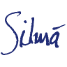 Opti-Silmä
