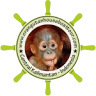 OrangUtan HouseBoat Tour