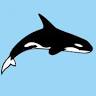 ORCA Diveclub Lovina