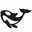 ORCA Remote Accounting SRL