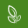 Orchard Brands Pvt. Ltd.