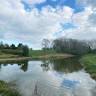 Orchard Holiday Park & Fishery