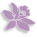 Orchid Restaurant