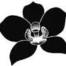 Orchid Dry Cleaners