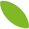 Orchidea Frutta Srl