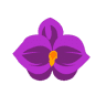 The Orchid Nest