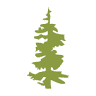 DMV Gresham