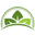 Organa International