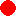 Orhideja-Kolor