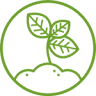 Origin'Bio
