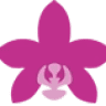 Orquidia Flors