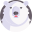Orso Bianco Giassai