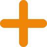 OrthoPlus