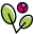 Ortofloricoltura Zandri – Azienda Agricola Michele Zandri