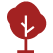 Ortopedia Montesinos