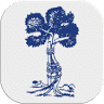 Ortopedia Nacional