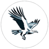 OSPREY Professional Accounting Corporation