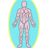 Osteopathy with Emily and Associates