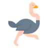 Ostrich Fun