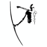 Otzi- Narcea