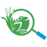 Little Hawks Discovery Preschool