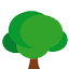 P-Masiv