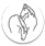 Stichting De Paardenkamp