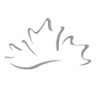 Pacific Veterinary Sales Ltd.