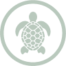 Painted Turtle Chocolatier