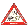 PREFEITURA MUNICIPAL DE PAI PEDRO