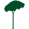 Palatine Hill Wealth Management